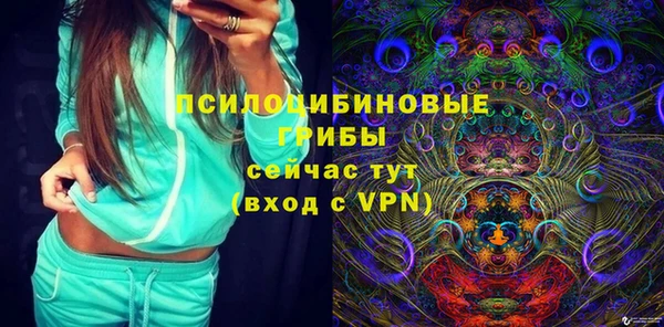 дживик Баксан