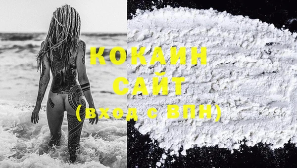 дживик Баксан